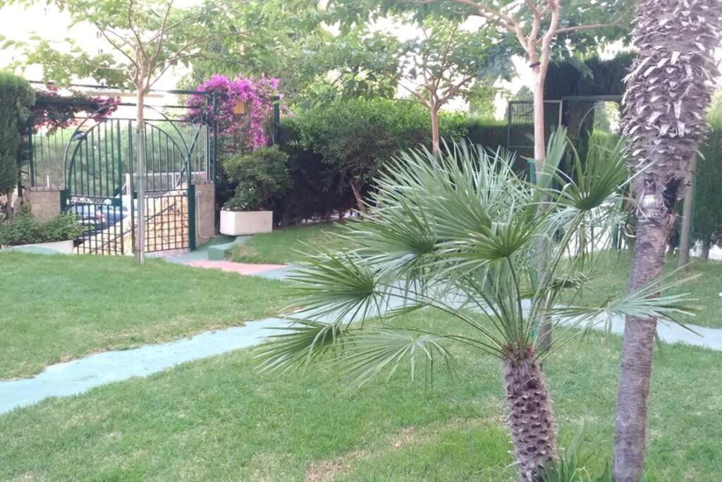 Apartamento Moderno Benidorm Ngoại thất bức ảnh